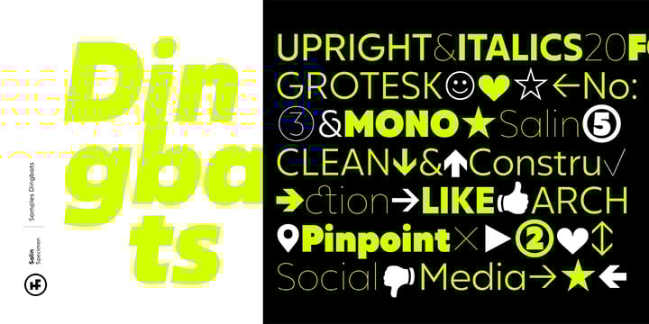 Download Salin Font Webfont Desktop Myfonts SVG Cut Files