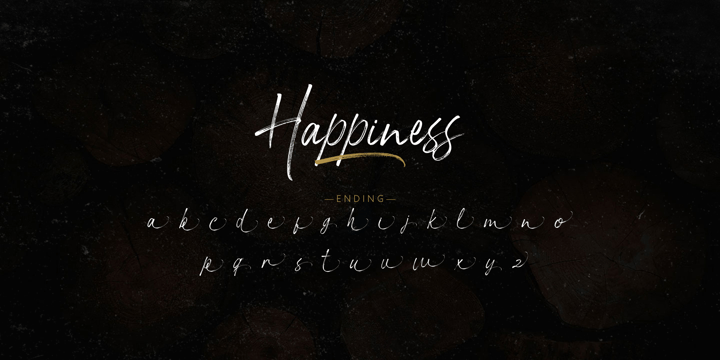 Happiness Font Poster 12