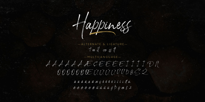 Happiness Font Poster 11