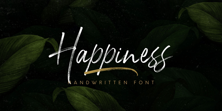 Happiness Font Poster 13