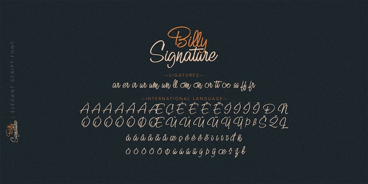 Billy Signature Font Webfont Desktop Myfonts