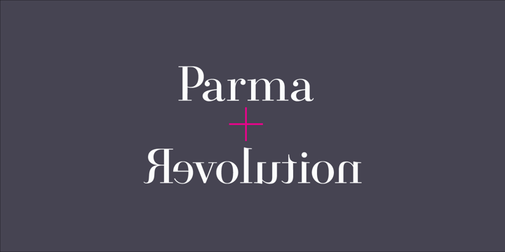Parmesan Revolution Font Poster 9