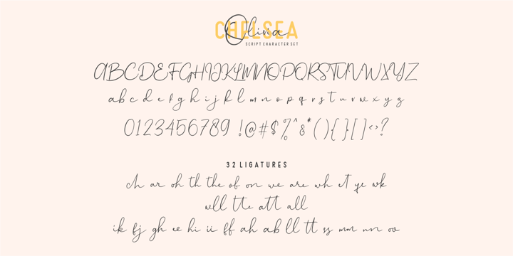 Chelsea Olivia Font Webfont Desktop Myfonts