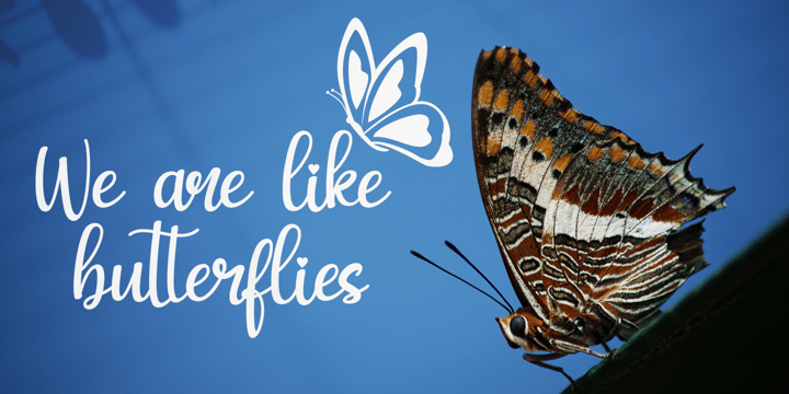 My Butterfly Font Poster 5