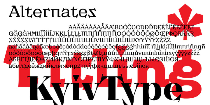KyivType Titling Font Poster 4