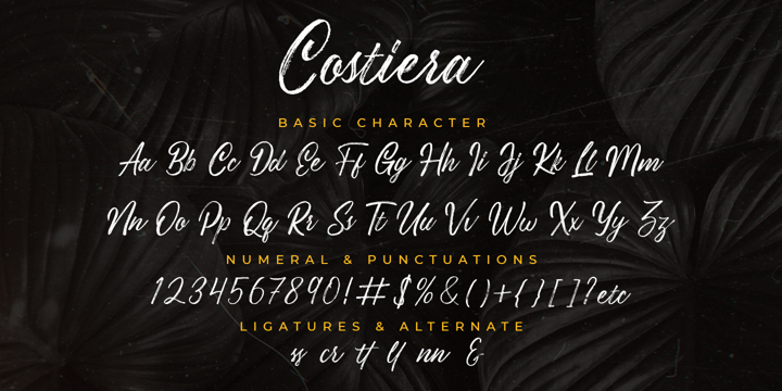 Costiera Font Poster 9