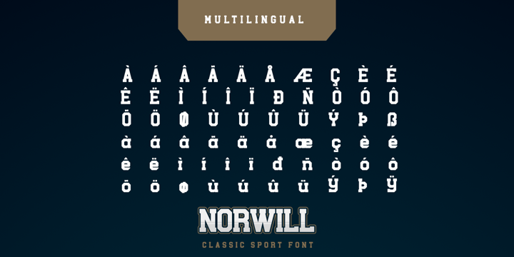 Norwill Font Webfont Desktop Myfonts