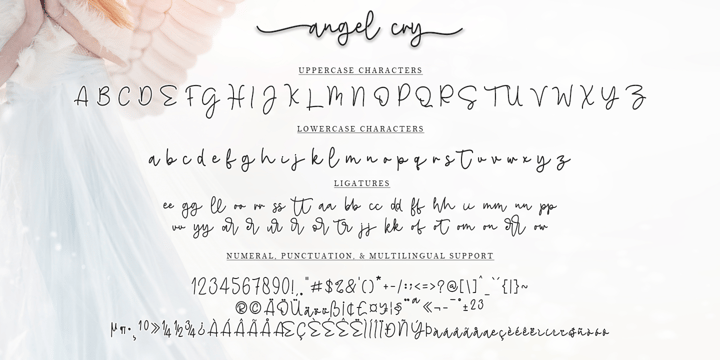 Angel Cry Font Poster 7