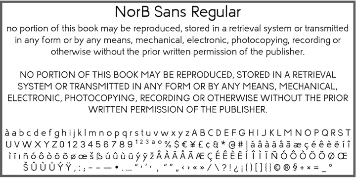 Norb Sans Font Webfont Desktop Myfonts