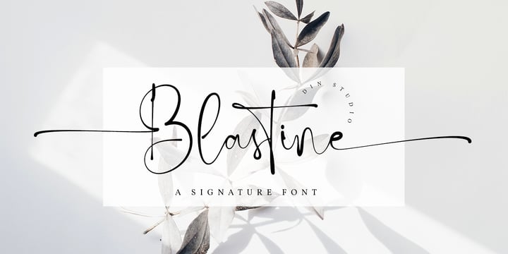 Blastine Font | Webfont & Desktop | MyFonts