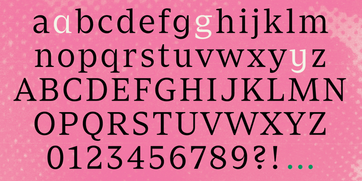 Zin Serif Font Poster 4