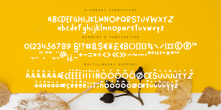 Happy Pumpkin Font Poster 6