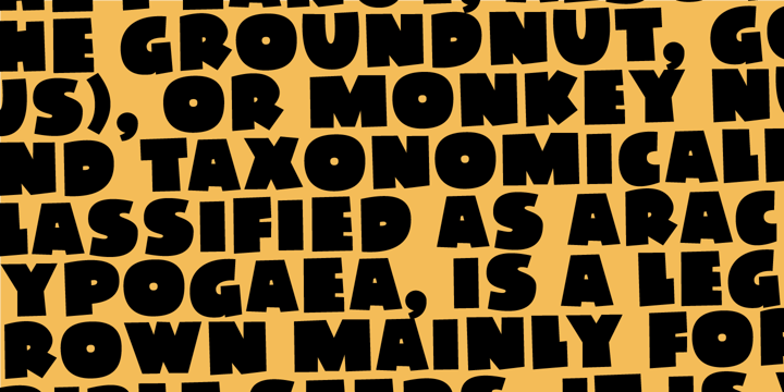 Soft Time Font Poster 6
