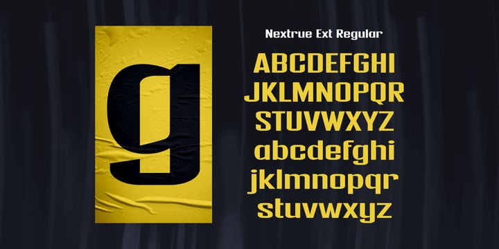 Nextrue Font Poster 13