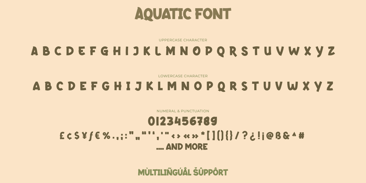 Aquatic Font Poster 11
