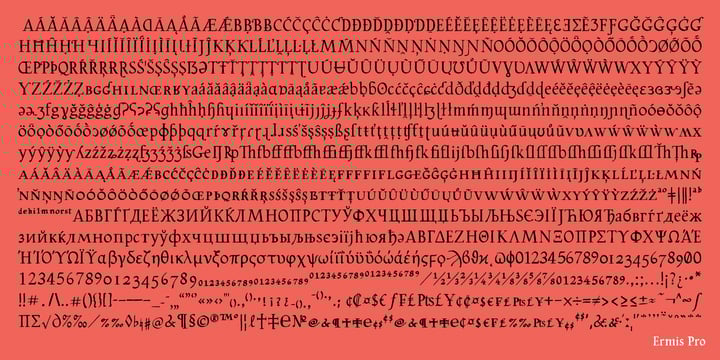 Ermis Pro Font Poster 13
