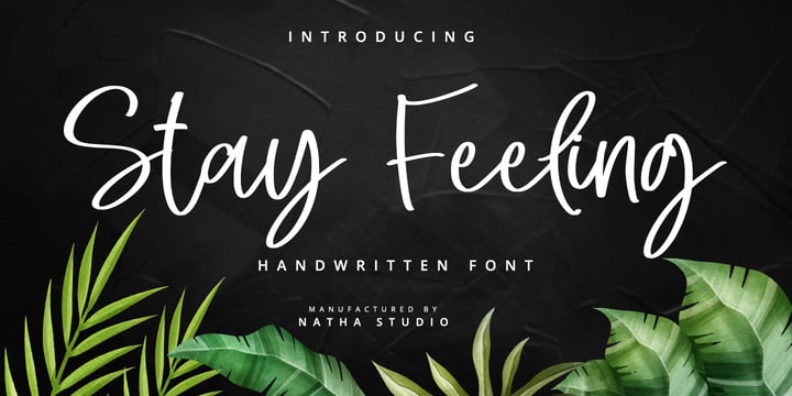 [ezuolaapyd] Download Stay Feeling Fonts Family From Nathatype