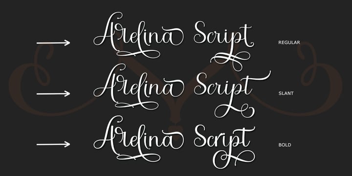 Arelina Script Font Poster 6