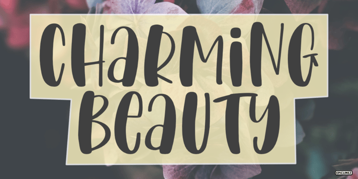 Charming Beauty Font Poster 1