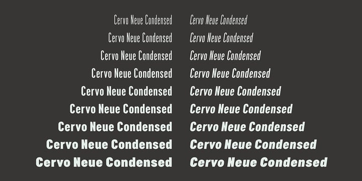 Cervo Neue Condensed Font Poster 5