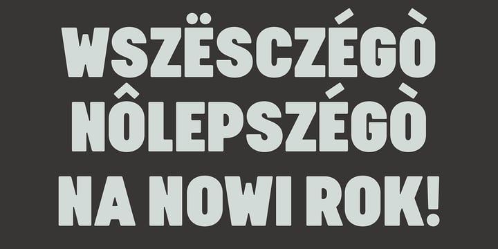 Cervo Neue Condensed Font Poster 6