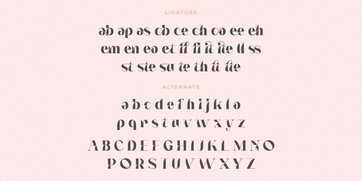 Notted Font Poster 9