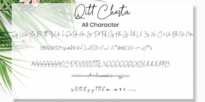 Qitt Chesta Font Poster 6