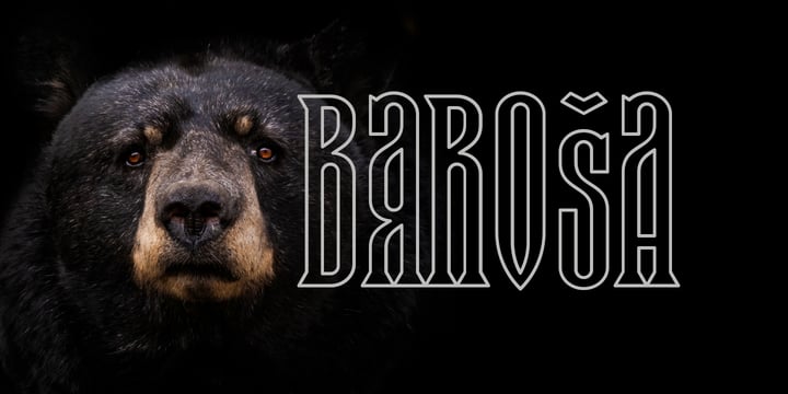 [ztcdyzxkgb] Download Barosa Fonts Family From NREY