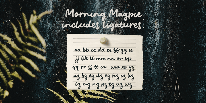 Morning Magpie Font Poster 6