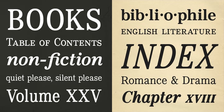 Bookseller Cp Font Poster 3