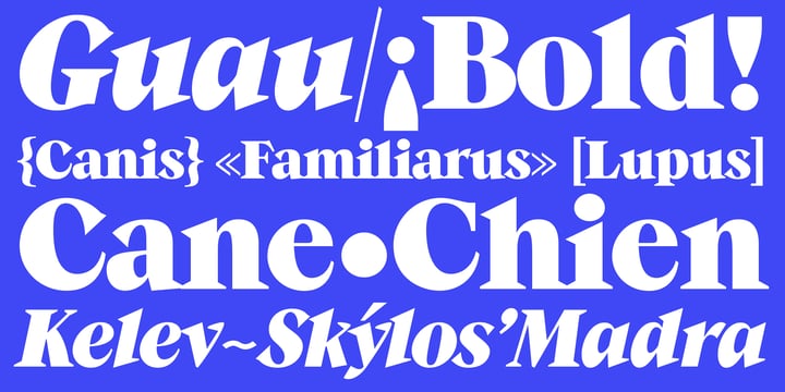  Font Poster 8