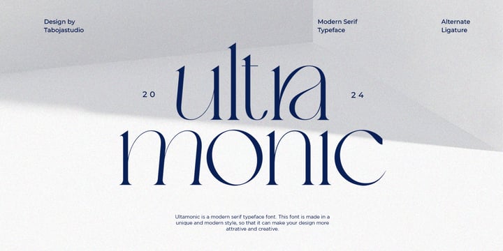 Modern Branding Font Bundle III Font Poster 2