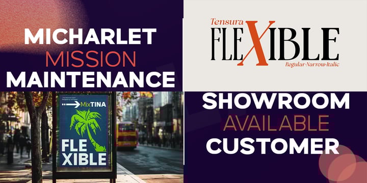 Special Variable Bundle Vol 1 Font Poster 3