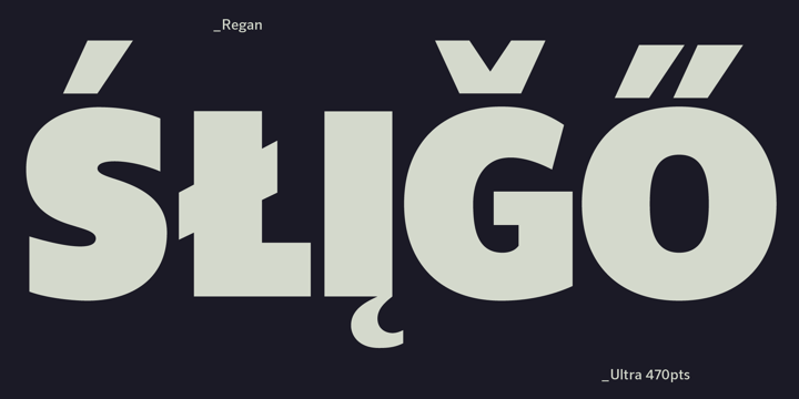 Humanist Font Poster 6