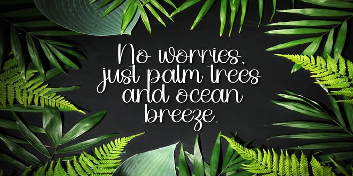 Spring Bundle Font Poster 9