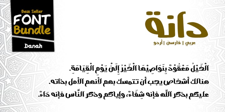 Special Arabic Persian Urdu Fonts Bundle Font Poster 5