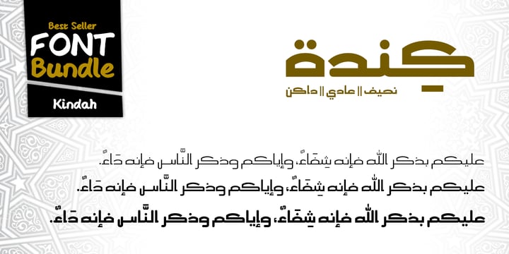 Special Arabic Persian Urdu Fonts Bundle Font Poster 9