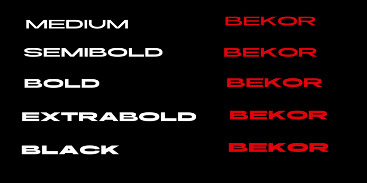 Bekor Extra Bundle Font Poster 3
