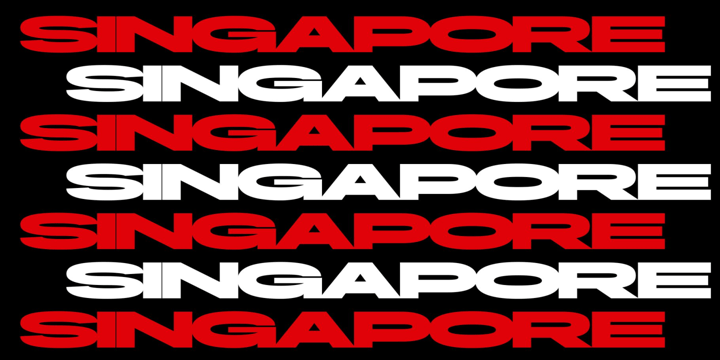 Bekor Extra Bundle Font Poster 6