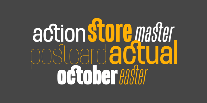 Minimalist Bundle Font Poster 15