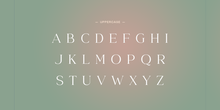 1 Week Wonder Font Bundle Font Poster 8