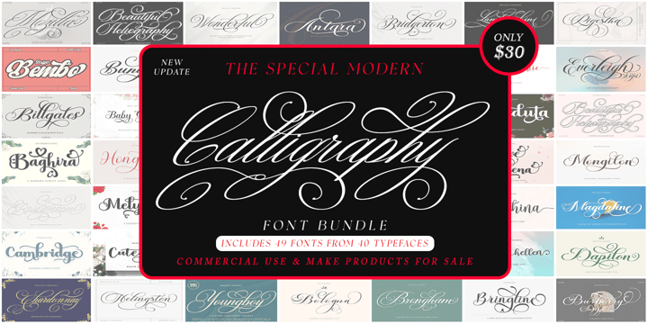 The Special Modern Calligraphy Font Bundle
