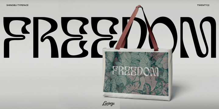 Otaku Type Collection Font Poster 10