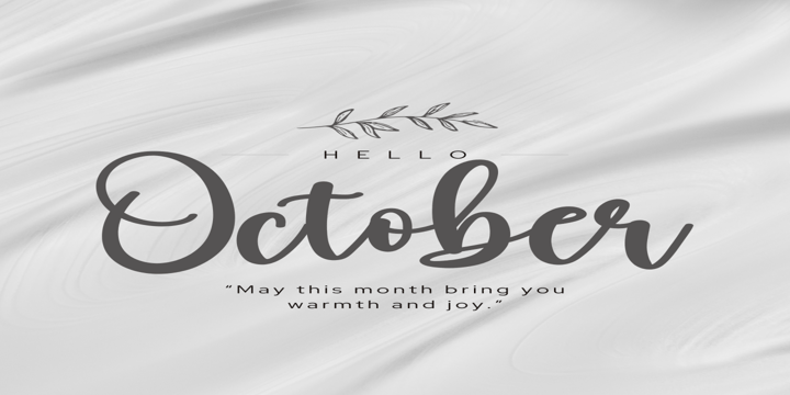 Signature Bundle Font Poster 5