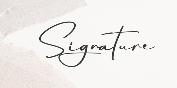 Signature Bundle Font Poster 3