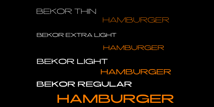 Challenger Bundle Font Poster 6
