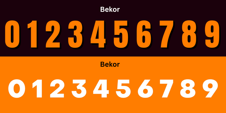 Challenger Bundle Font Poster 7