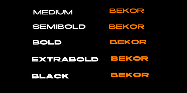 Challenger Bundle Font Poster 8
