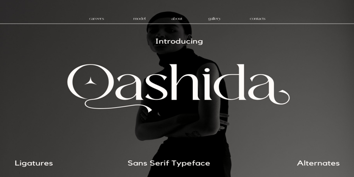 Premium Classic Collection Font Poster 4