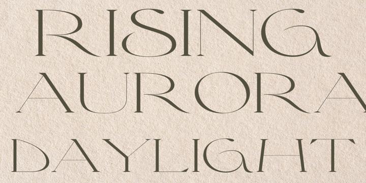 Premium Classic Collection Font Poster 2